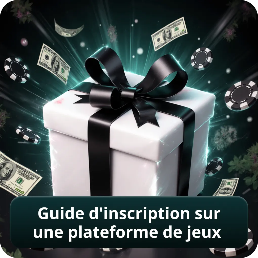 Guide d'inscription sur une plateforme de jeux